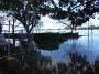 taree-flood2011 015